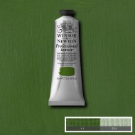 Chrome Oxide Green 60ml Artists' Acrylic Winsor & Newton